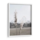 Pampas Etéreas Ii - Jason Johnson | Cuadro decorativo de Canvas Lab