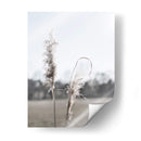 Pampas Etéreas Ii - Jason Johnson | Cuadro decorativo de Canvas Lab