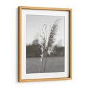 Pampas Etéreas Iii - Jason Johnson | Cuadro decorativo de Canvas Lab