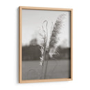 Pampas Etéreas Iii - Jason Johnson | Cuadro decorativo de Canvas Lab