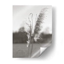 Pampas Etéreas Iii - Jason Johnson | Cuadro decorativo de Canvas Lab