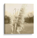 Pampas Etéreas Vi - Jason Johnson | Cuadro decorativo de Canvas Lab