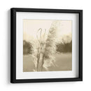 Pampas Etéreas Vi - Jason Johnson | Cuadro decorativo de Canvas Lab