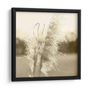 Pampas Etéreas Vi - Jason Johnson | Cuadro decorativo de Canvas Lab