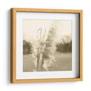 Pampas Etéreas Vi - Jason Johnson | Cuadro decorativo de Canvas Lab