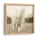 Pampas Etéreas Vi - Jason Johnson | Cuadro decorativo de Canvas Lab
