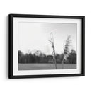 Pampas Ethereal Vii - Jason Johnson | Cuadro decorativo de Canvas Lab