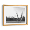 Pampas Ethereal Vii - Jason Johnson | Cuadro decorativo de Canvas Lab