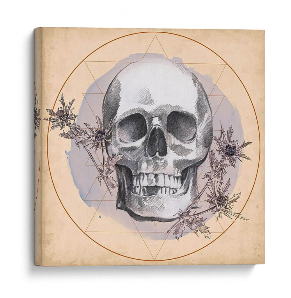 Cráneo Thistle I - Jennifer Paxton Parker | Cuadro decorativo de Canvas Lab