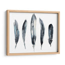 Plumas De Índigo Ii - Jennifer Goldberger | Cuadro decorativo de Canvas Lab