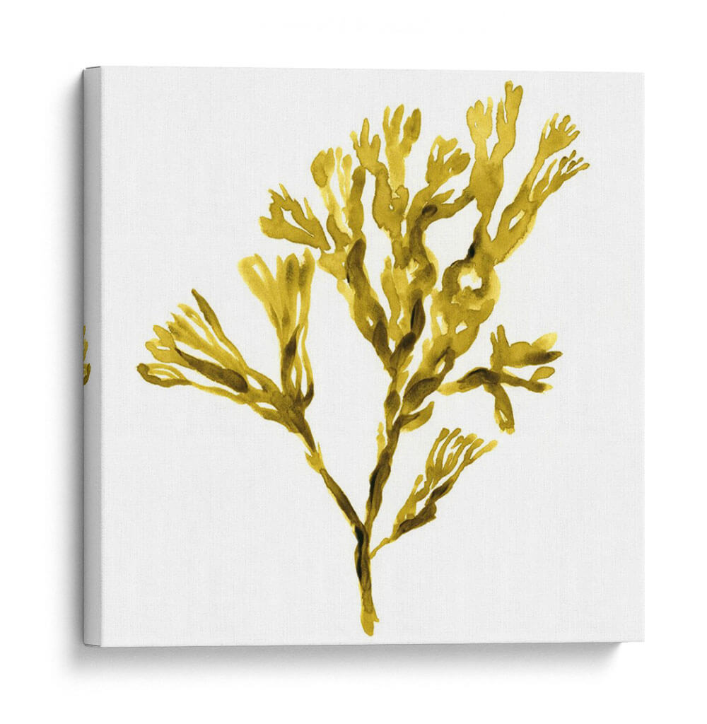 Alga Suspendida Ii - W. Rutledge | Cuadro decorativo de Canvas Lab