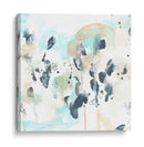 Nautilus Dreams Iii - June Erica Vess | Cuadro decorativo de Canvas Lab