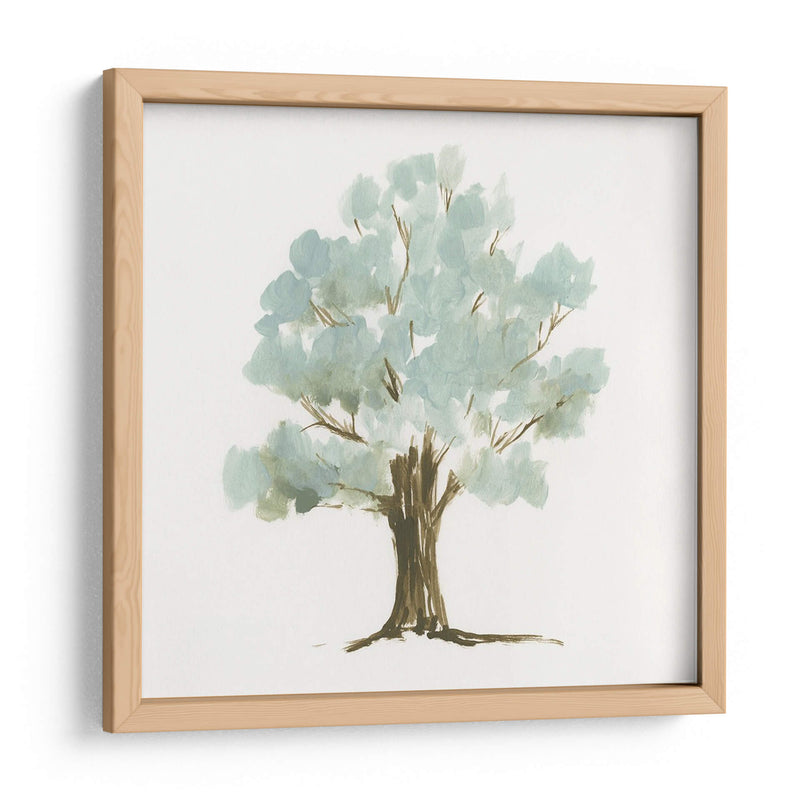 Mint Tree Ii - Jennifer Goldberger | Cuadro decorativo de Canvas Lab