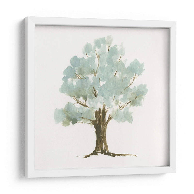 Mint Tree Ii - Jennifer Goldberger | Cuadro decorativo de Canvas Lab