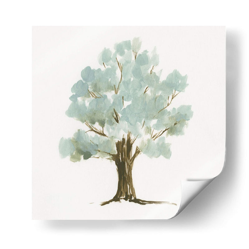 Mint Tree Ii - Jennifer Goldberger | Cuadro decorativo de Canvas Lab