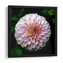 Maravilla | Cuadro decorativo de Canvas Lab