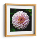 Maravilla | Cuadro decorativo de Canvas Lab