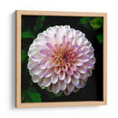 Maravilla | Cuadro decorativo de Canvas Lab