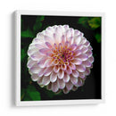 Maravilla | Cuadro decorativo de Canvas Lab