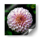 Maravilla | Cuadro decorativo de Canvas Lab