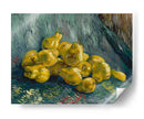 Bodegón con membrillos - Vincent Van Gogh | Cuadro decorativo de Canvas Lab
