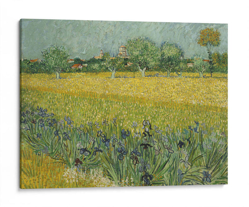 Campo con flores - Vincent Van Gogh | Cuadro decorativo de Canvas Lab