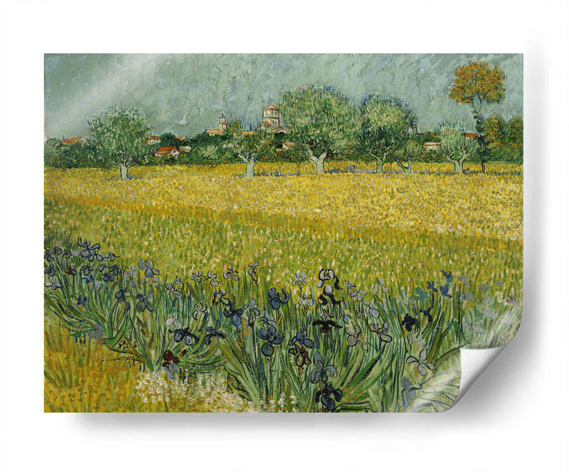 Campo con flores - Vincent Van Gogh | Cuadro decorativo de Canvas Lab