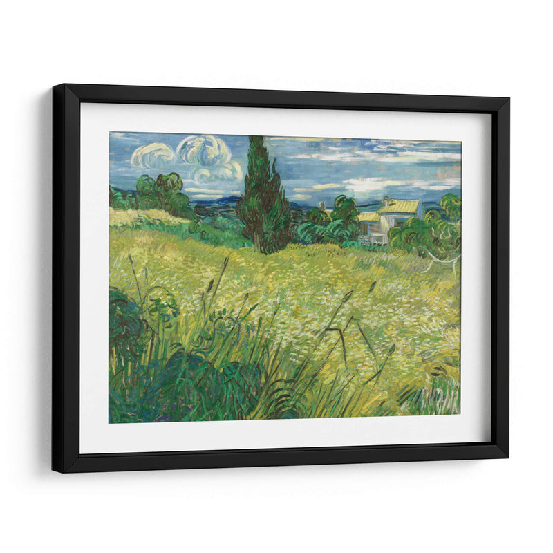 Trigal verde con ciprés - Vincent Van Gogh | Cuadro decorativo de Canvas Lab