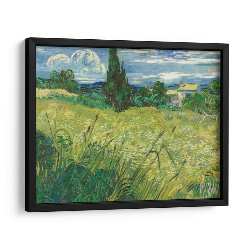 Trigal verde con ciprés - Vincent Van Gogh | Cuadro decorativo de Canvas Lab