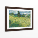 Trigal verde con ciprés - Vincent Van Gogh | Cuadro decorativo de Canvas Lab