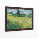 Trigal verde con ciprés - Vincent Van Gogh | Cuadro decorativo de Canvas Lab