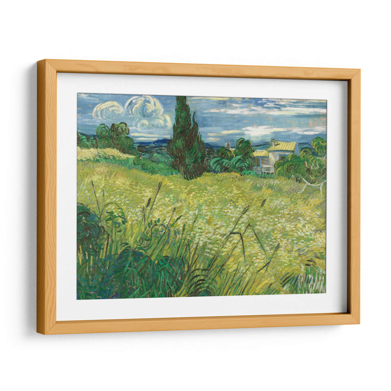 Trigal verde con ciprés - Vincent Van Gogh | Cuadro decorativo de Canvas Lab