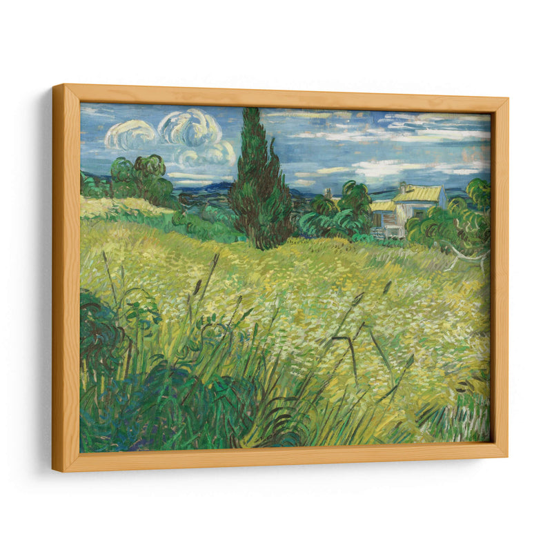 Trigal verde con ciprés - Vincent Van Gogh | Cuadro decorativo de Canvas Lab