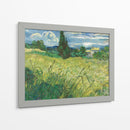 Trigal verde con ciprés - Vincent Van Gogh | Cuadro decorativo de Canvas Lab