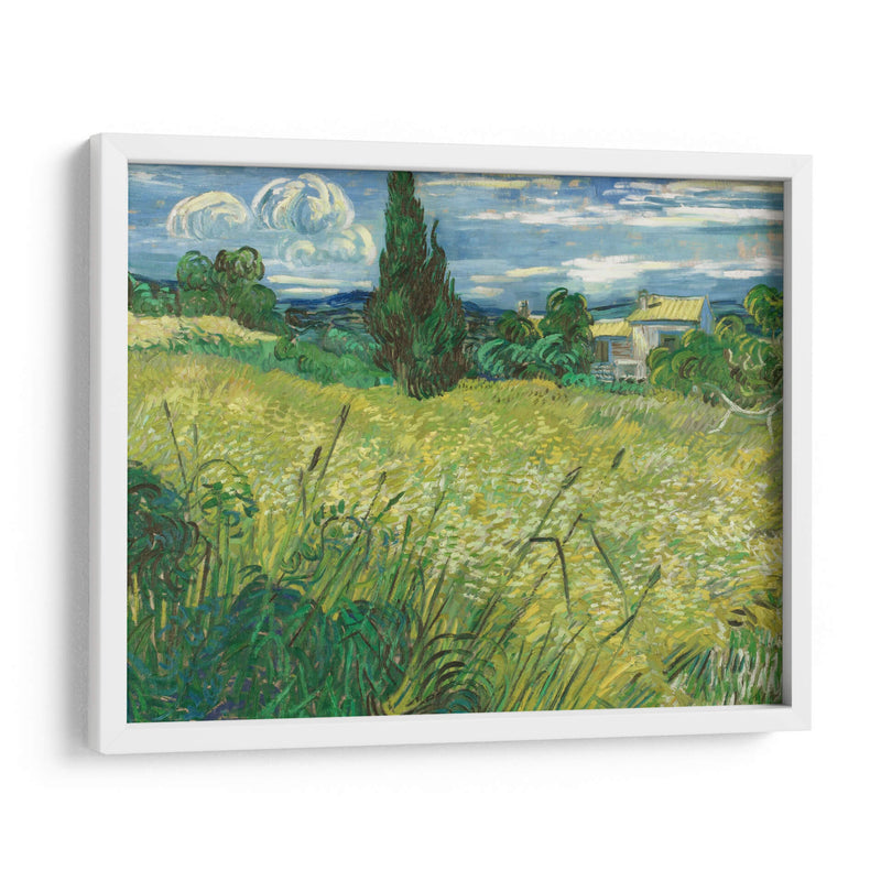 Trigal verde con ciprés - Vincent Van Gogh | Cuadro decorativo de Canvas Lab