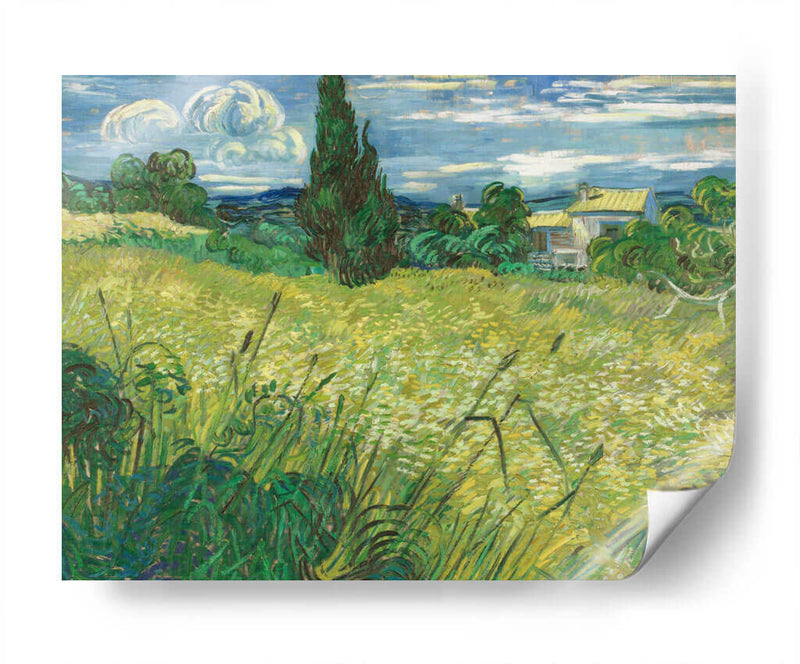 Trigal verde con ciprés - Vincent Van Gogh | Cuadro decorativo de Canvas Lab