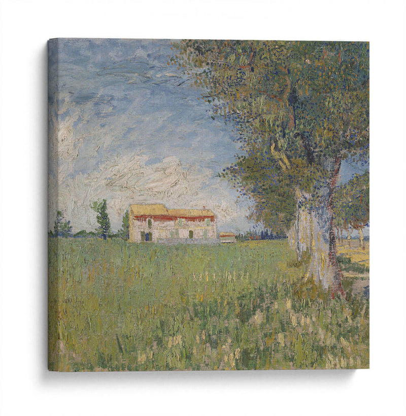 Casa en campo de trigo - Vincent Van Gogh | Cuadro decorativo de Canvas Lab