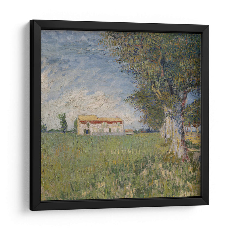 Casa en campo de trigo - Vincent Van Gogh | Cuadro decorativo de Canvas Lab