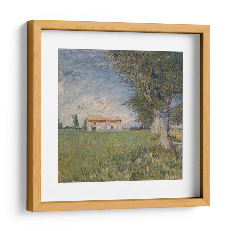 Casa en campo de trigo - Vincent Van Gogh | Cuadro decorativo de Canvas Lab