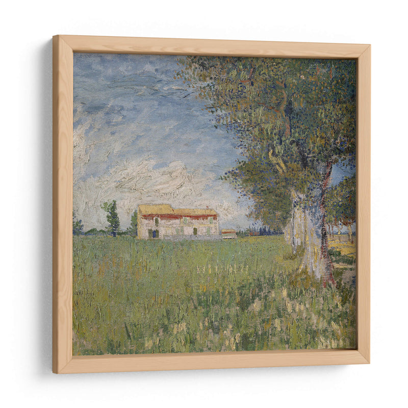 Casa en campo de trigo - Vincent Van Gogh | Cuadro decorativo de Canvas Lab