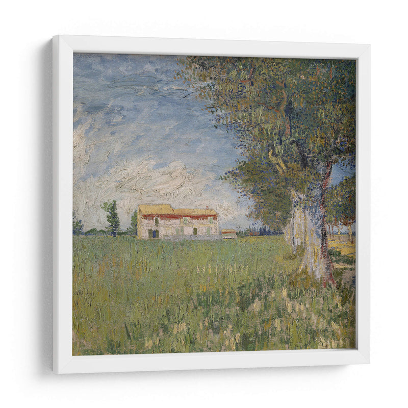 Casa en campo de trigo - Vincent Van Gogh | Cuadro decorativo de Canvas Lab