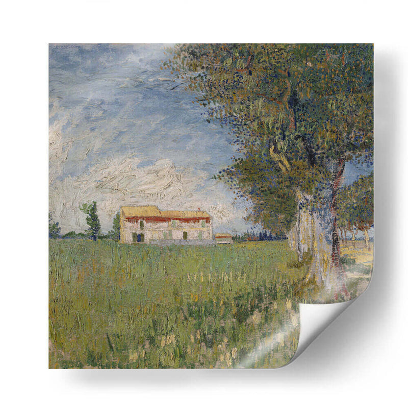 Casa en campo de trigo - Vincent Van Gogh | Cuadro decorativo de Canvas Lab