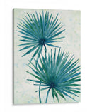 Hojas De Palma I - Tim OToole | Cuadro decorativo de Canvas Lab