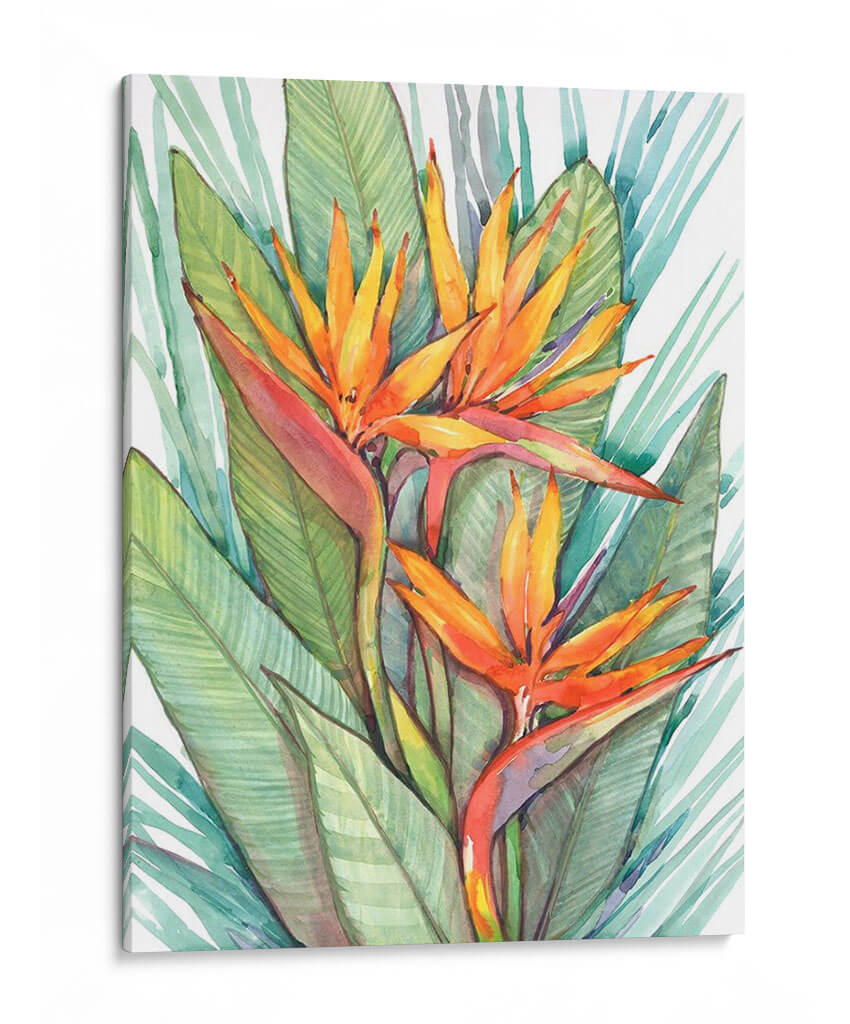Paradise Botánico Tropical Ii - Tim OToole | Cuadro decorativo de Canvas Lab