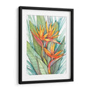 Paradise Botánico Tropical Ii - Tim OToole | Cuadro decorativo de Canvas Lab