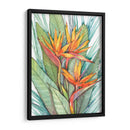 Paradise Botánico Tropical Ii - Tim OToole | Cuadro decorativo de Canvas Lab