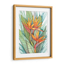 Paradise Botánico Tropical Ii - Tim OToole | Cuadro decorativo de Canvas Lab