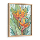 Paradise Botánico Tropical Ii - Tim OToole | Cuadro decorativo de Canvas Lab