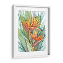 Paradise Botánico Tropical Ii - Tim OToole | Cuadro decorativo de Canvas Lab