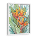 Paradise Botánico Tropical Ii - Tim OToole | Cuadro decorativo de Canvas Lab